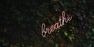 Das Wort breathe ist als Leuchtschrift vor einem grünen Hintergrund zu sehen. Foto: Tim Goedhart, Unsplash.