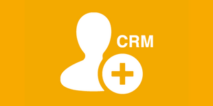 CRM Software Icon CRM Software