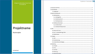 Businessplan-Muster in MS Word